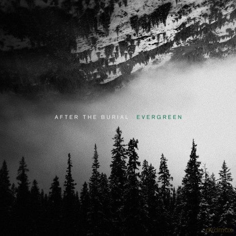 After The Burial: Evergreen [CD]