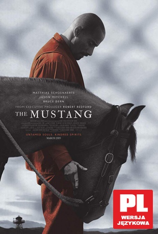 The Mustang [DVD]