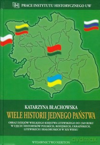 Wiele historii jednego państwa Obraz dziejów Wielkiego Księstwa Litewskiego do 1569 roku w ujęciu historyków polskich, rosyjskich, ukraińskich, litewskich i białoruskich w XIX wieku - Katarzyna Błachowska [KSIĄŻKA]