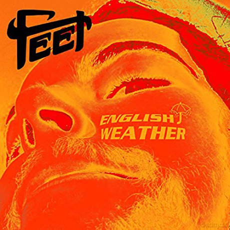 Feet: English Weather (Picture) [Winyl]