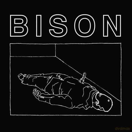 Bison: One Thousand Needles (digipack) [CD]