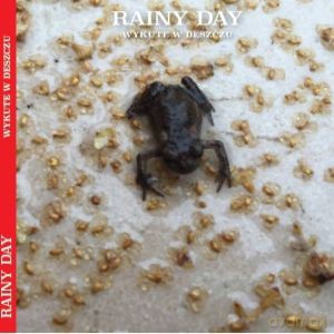 Rainy Day: Wykute w deszczu [CD]