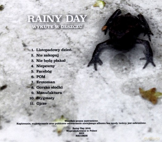 Rainy Day: Wykute w deszczu [CD]