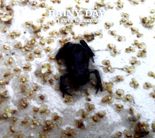 Rainy Day: Wykute w deszczu [CD]