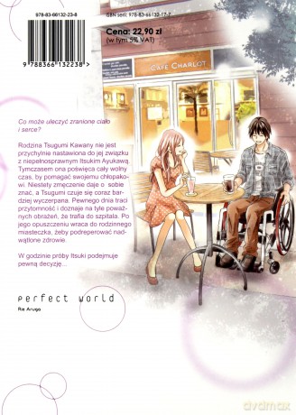 Perfect world (Tom 3) - Rie Aruga [KOMIKS]