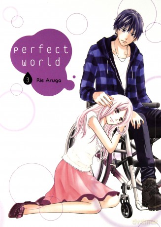 Perfect world (Tom 3) - Rie Aruga [KOMIKS]