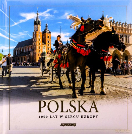 Mini album. Polska. 1000 lat w sercu Europy - Malwina Flaczyńska, Artur Flaczyński [KSIĄŻKA]