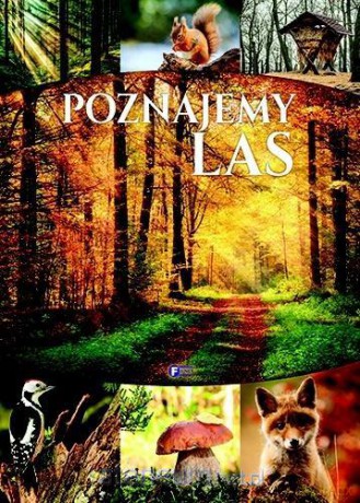 Poznajemy las [KSIĄŻKA]