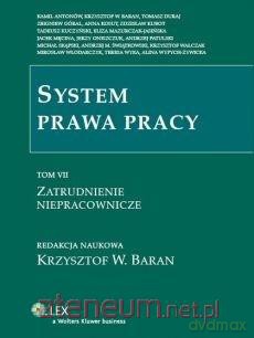 System prawa pracy (Tom 7) Zatrudnienie niepracownicze - Krzysztof W. Baran [KSIĄŻKA]