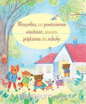 Wszystko, co powinieneś wiedzieć. - Felicity Brooks, Marina Aizen [KSIĄŻKA]