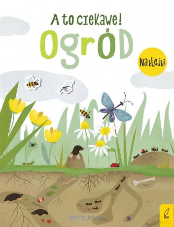 A to ciekawe! Ogród [KSIĄŻKA]