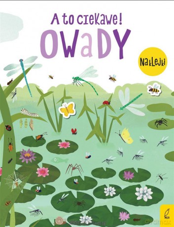 A to ciekawe! Owady [KSIĄŻKA]