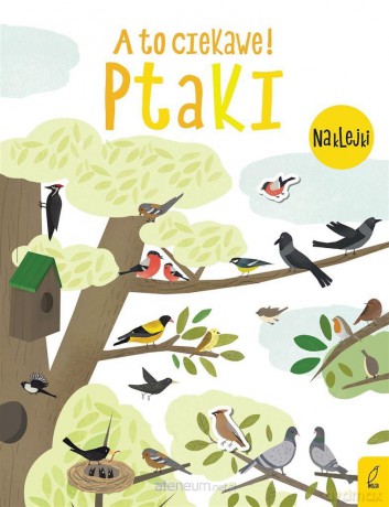 A to ciekawe! Ptaki [KSIĄŻKA]