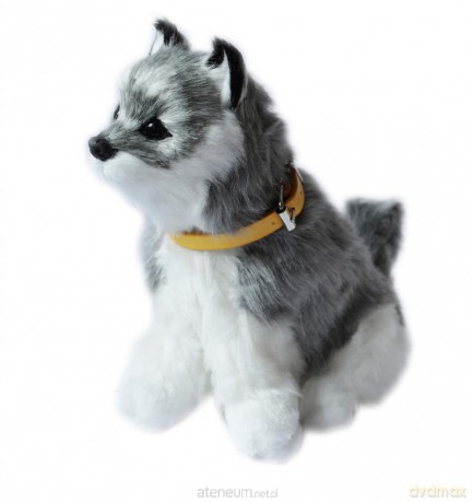 Interaktywny piesek - Husky