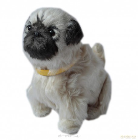Interaktywny piesek - Mops