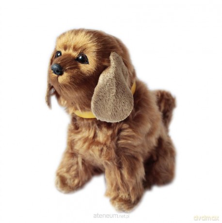 Interaktywny piesek - Spaniel