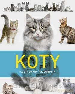 Koty. Ilustrowany przewodnik [KSIĄŻKA]