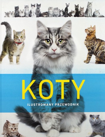 Koty. Ilustrowany przewodnik [KSIĄŻKA]