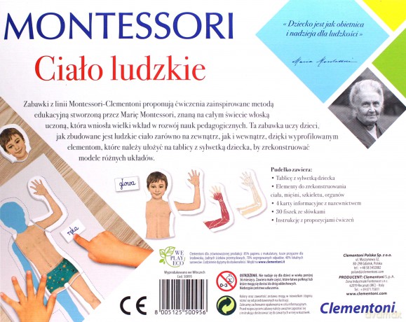 Montessori Ciało ludzkie
