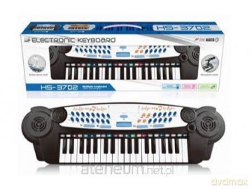 Organki z mikrofonem 2