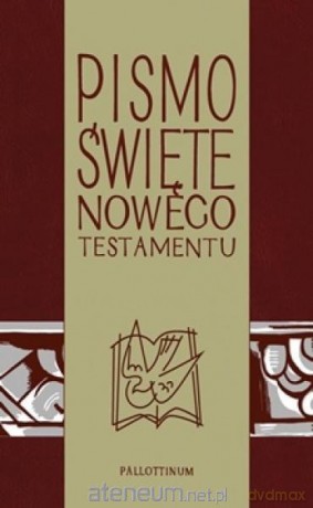 Pismo Święte - Nowy Testament z ilustracjami [KSIĄŻKA]