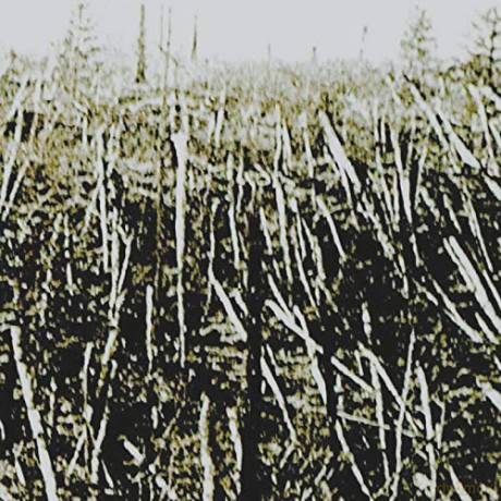Próchno: Próchno [CD]