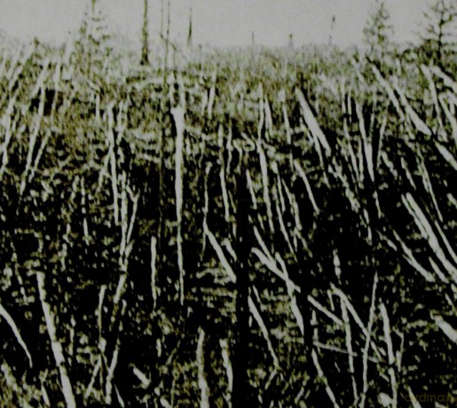 Próchno: Próchno [CD]