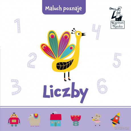 Maluch poznaje liczby - Magdalena Popovics [KSIĄŻKA]