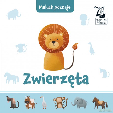 Maluch poznaje zwierzęta - Anna Kleszczewska [KSIĄŻKA]