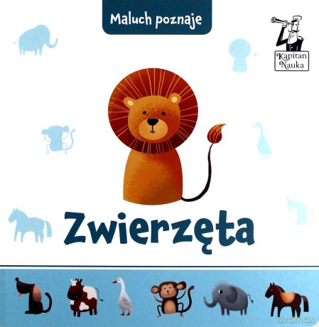 Maluch poznaje zwierzęta - Anna Kleszczewska [KSIĄŻKA]