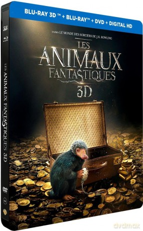 Fantastic Beasts and Where to Find Them (Fantastyczne zwierzęta i jak je znaleźć) (steelbook) [Blu-Ray 3D]+[Blu-Ray]