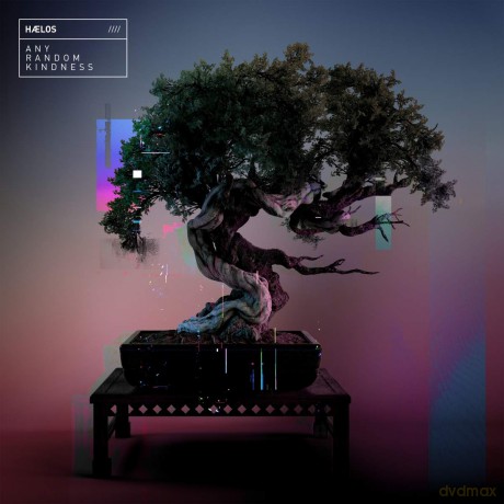 Haelos: Any Random Kindness [CD]