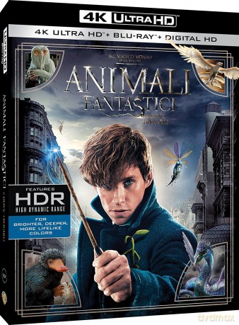 Fantastic Beasts and Where to Find Them (Fantastyczne zwierzęta i jak je znaleźć) [Blu-Ray 4K]+[Blu-Ray]