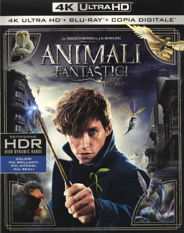 Fantastic Beasts and Where to Find Them (Fantastyczne zwierzęta i jak je znaleźć) [Blu-Ray 4K]+[Blu-Ray]