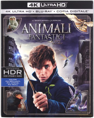 Fantastic Beasts and Where to Find Them (Fantastyczne zwierzęta i jak je znaleźć) [Blu-Ray 4K]+[Blu-Ray]