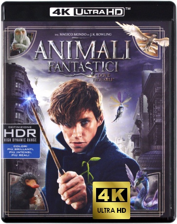 Fantastic Beasts and Where to Find Them (Fantastyczne zwierzęta i jak je znaleźć) [Blu-Ray 4K]+[Blu-Ray]