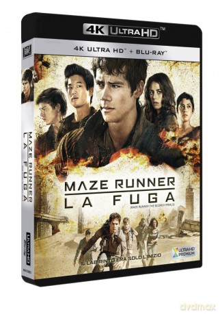 Maze Runner: The Scorch Trials (Więzień labiryntu: Próby ognia) [Blu-Ray 4K]+[Blu-Ray]