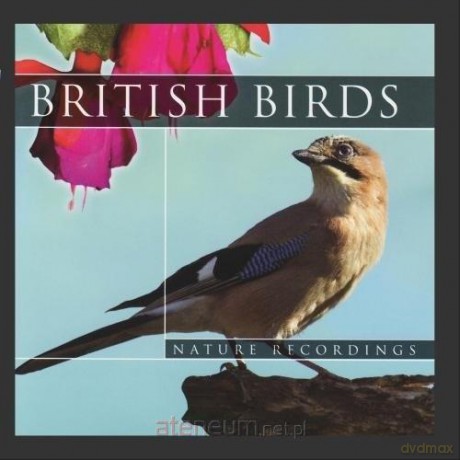 British Birds [CD]