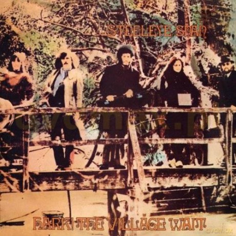 Steeleye Span: Hark! The Village Wait [CD]