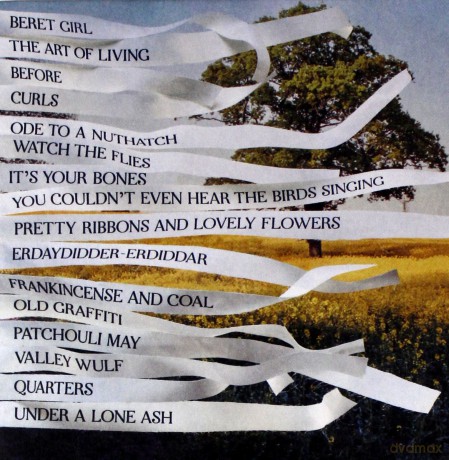 Bibio: Ribbons [CD]
