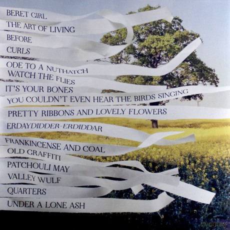 Bibio: Ribbons [2xWinyl]