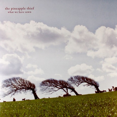 The Pineapple Thief: What We Have Sown [2xWinyl]