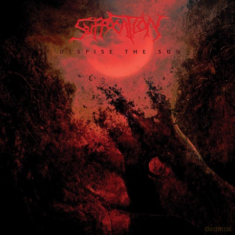 Suffocation: Despise The Sun [Winyl]