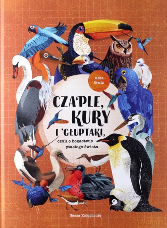 Czaple, kury i głuptaki czyli o bogactwie ptasiego świata - Joanna Gwis [KSIĄŻKA]