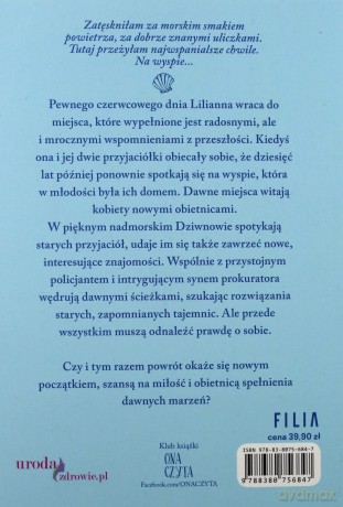 Wyspa wspomnień - Dorota Milli [KSIĄŻKA]