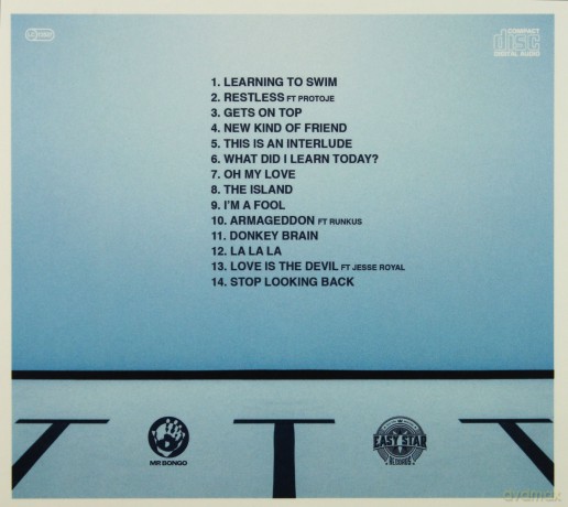 The Skints: Swimming Lessons [CD]
