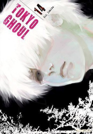 Tokyo Ghoul (Tom 14) - Sui Ishida [KOMIKS]