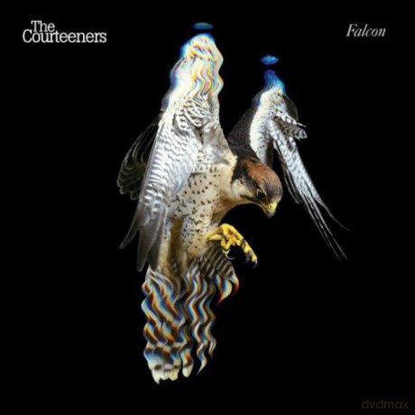 Courteeners: Falcon (RSD) [Winyl]