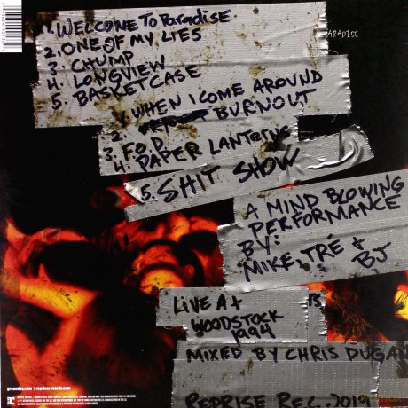 Green Day: Woodstock 1994 (RSD) [Winyl]