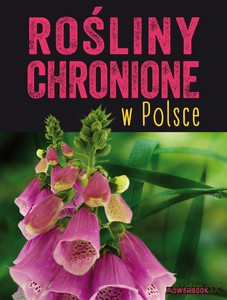 Rośliny chronione w Polsce - Izabella Sieńko-Holewa [KSIĄŻKA]